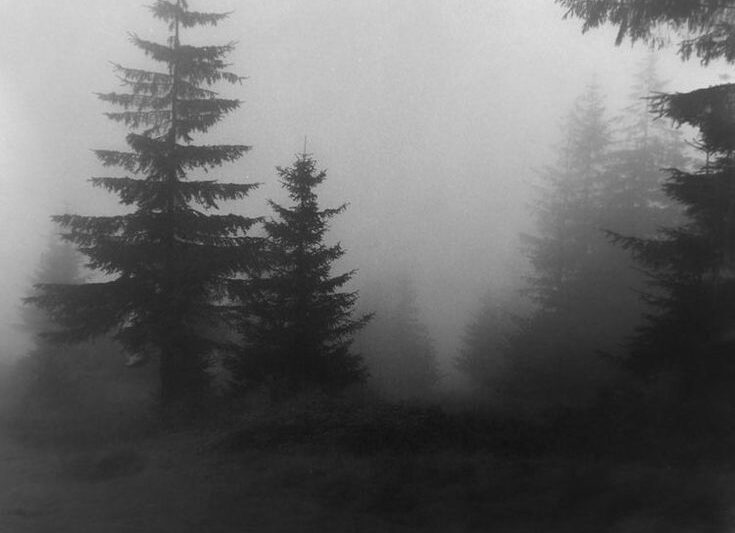 Le brouillard épais