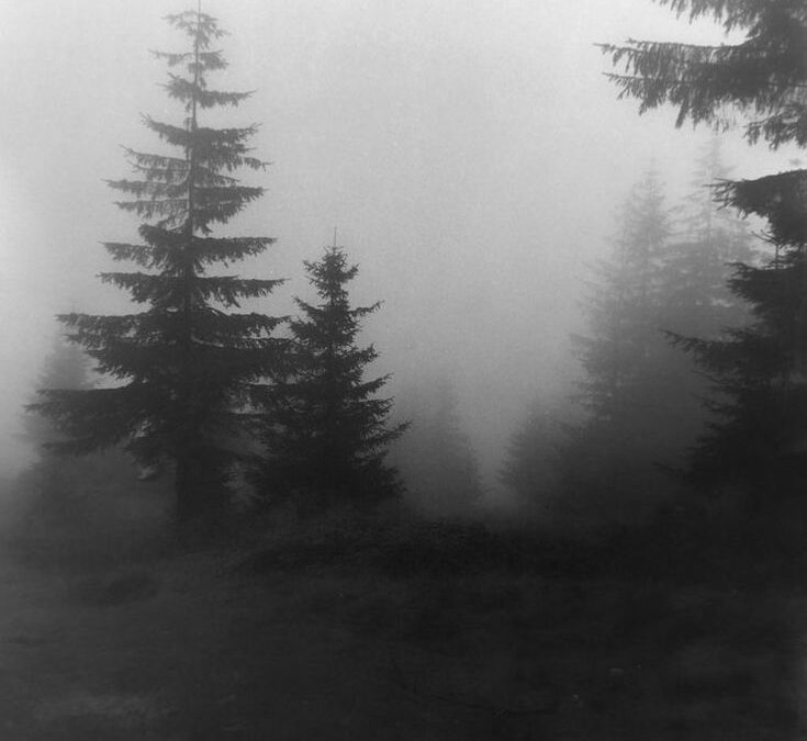 Le brouillard épais
