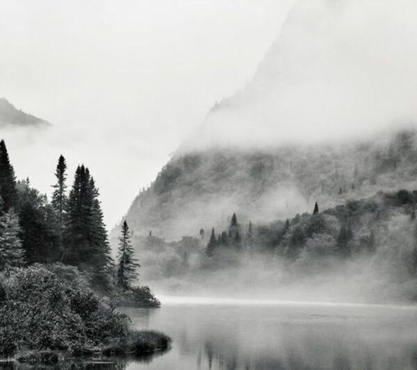 La brume sur le lac