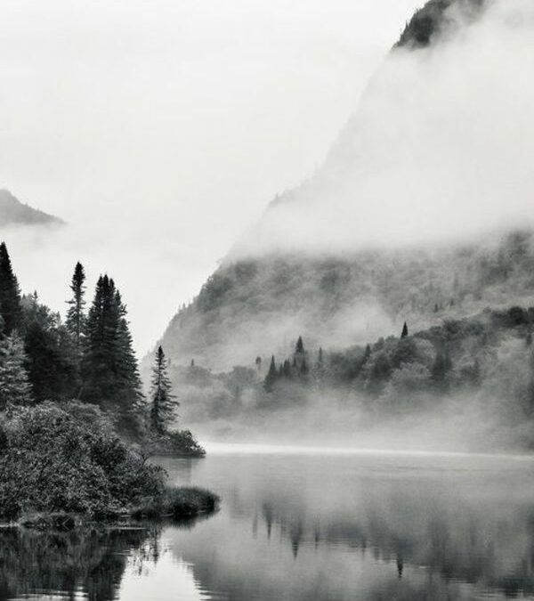 La brume sur le lac