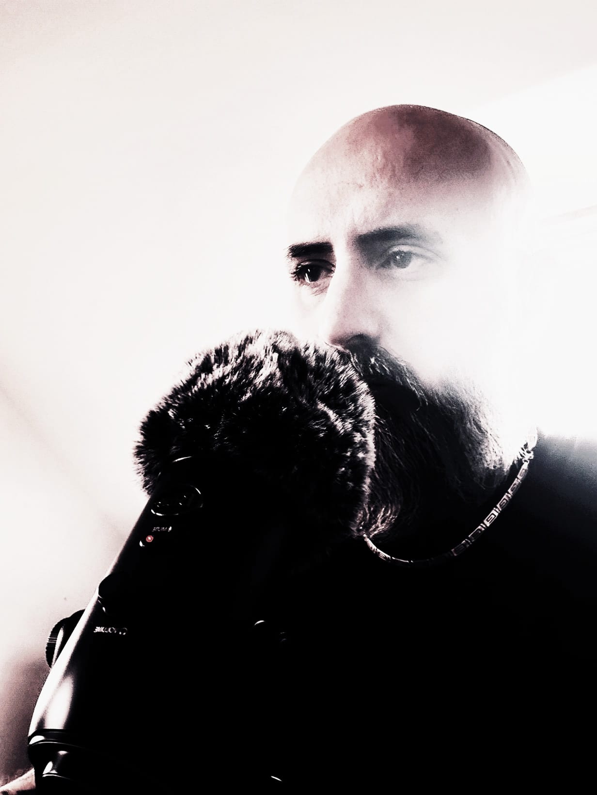 David - Voie poétique